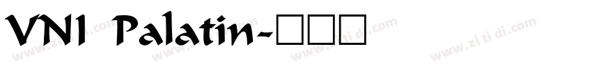 VNI Palatin字体转换